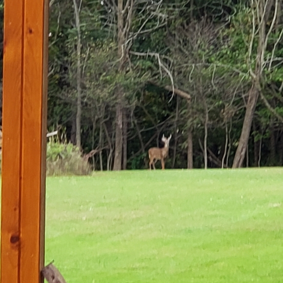 Meet your Posher, Debby, aka Dare 2 Dazzle, LLC - Picture 5 of 16